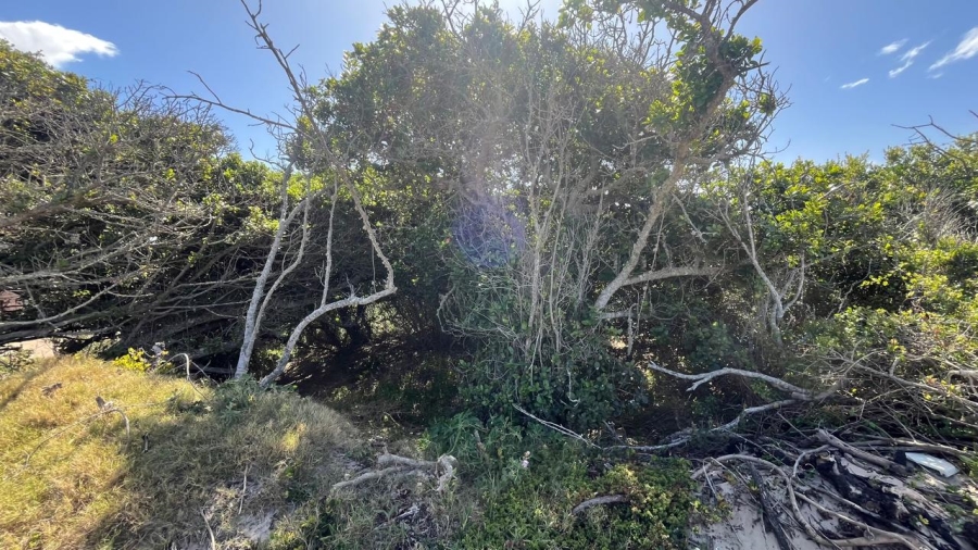 Commercial Property for Sale in Paradise Beach Eastern Cape
